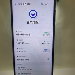 갤럭시 버디2 유심기변용